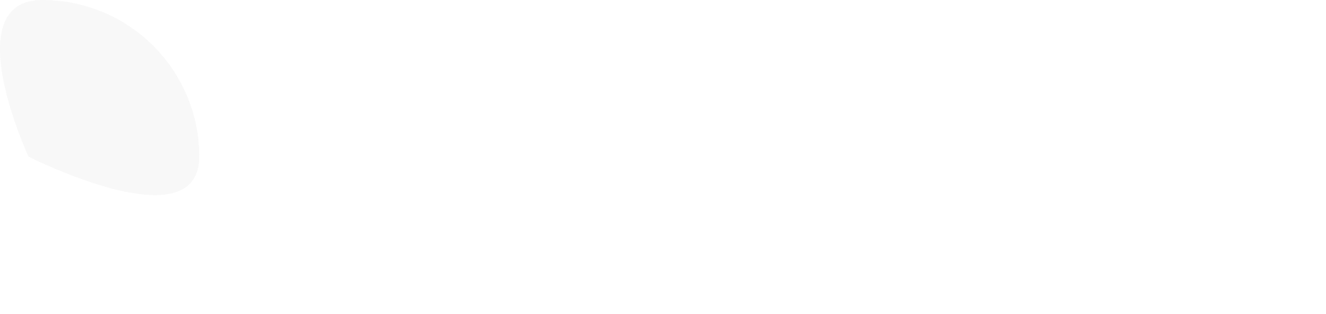 dstudio logo